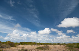 sky / Caribes