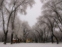 Rime / ----