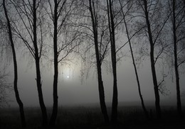 Oktober / ***