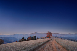 Morgengrauen mit Orion / ***