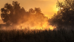 Fires Nebel / ***