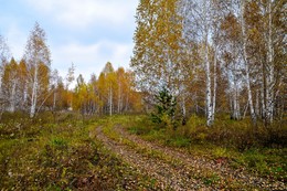 Herbst-Skizze. / ***