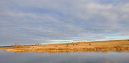 Herbst-Feld / ***