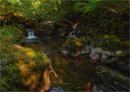 ... "Forellen Trails" XXIII ... / ***