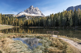 Helle Herbst in den Alpen. / ***