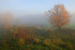 Herbst Landschaft und Stillleben. / ***