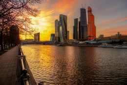 Moskau. Dezember / ***