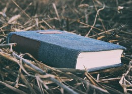 Buch der Bücher! / ***