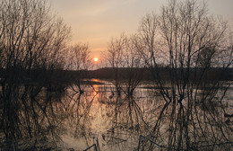 Hohe Wasser / ***
