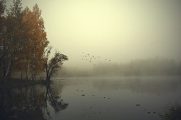 Autumn Flug. / ***