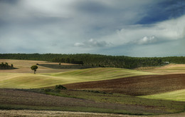 Herbst Feld / ***