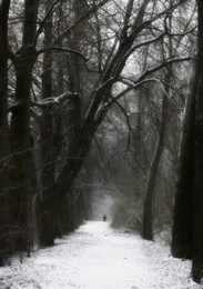 Blizzards wurden im ganzen Land weht ..... / ***