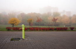 Herbst-Zeit (6) / ***