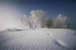 Dezember-Tag ... / ***