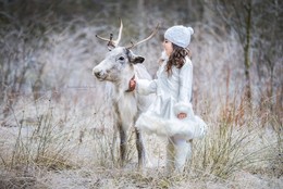 Ein Wintermärchen / ***