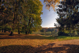 Park. / ***