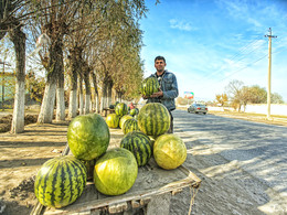 Dezember Wassermelonen ... Kurgan-Tube. Tadschikistan / ***