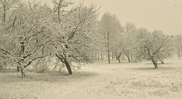 Früh Winter / ***