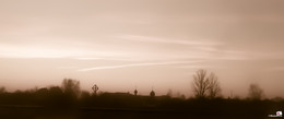 Morgen 2 / ***