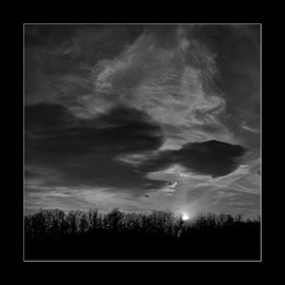 Schrei / ...