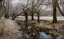 Winter Wassermangel. / ***