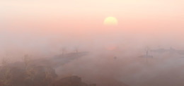 Nebel / ***