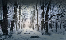 Der erste Schnee / ***
