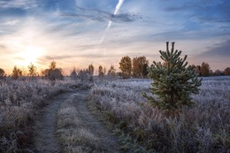 Morgen / ***