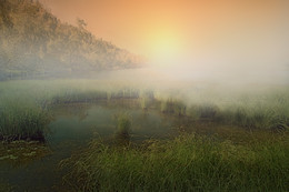 Gras, Gras ... / ***