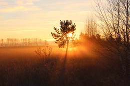 Guten Morgen / ***