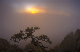 Sonnenaufgäng von Demerdzhi ... / ***