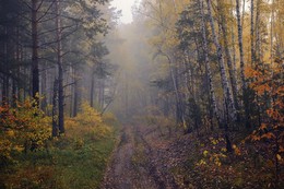 Herbst Weg / ***