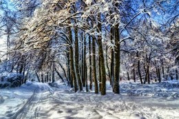 Im Winter Park / ***
