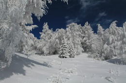 Wintertag / ***