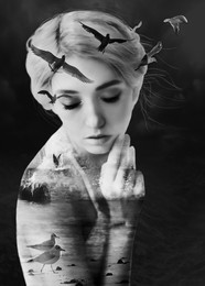 Möwen / ***