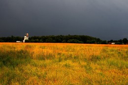 Auf dem Feld / ***