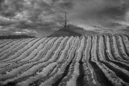 Auf dem Feld / ***