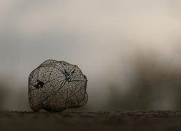 Auf dem Feld / ***