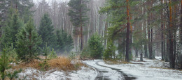 Dezember Tau / ***