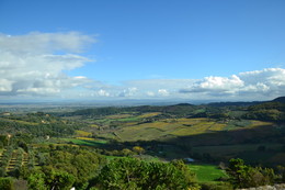 Auf dem Feld / ***