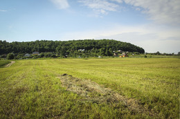 Auf dem Feld / ***