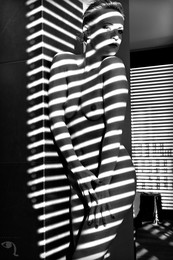 Schattenspiel / ***
