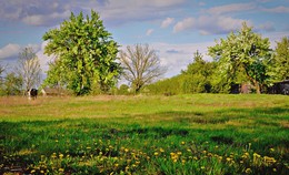 Frühling im Land / ***