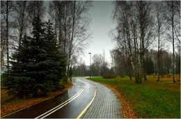 Niesel Regen / ***