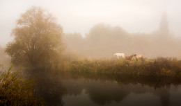 Nebel / ***