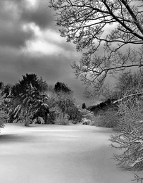 Waldlichtung / ***
