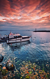 Istanbul-Panorama / ***