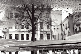 "Minsk Terrassen" / ***