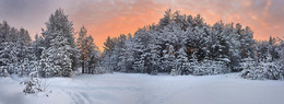 Farben des Winters / ***