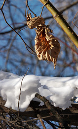 Herbst und Winter ... / ***
